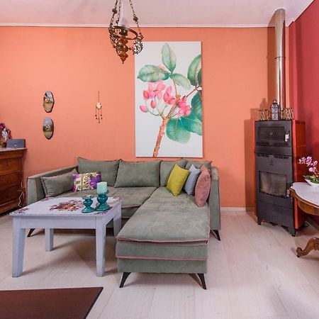 Aegina'S Flowers House Kültér fotó