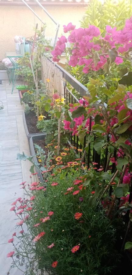 Aegina'S Flowers House Kültér fotó