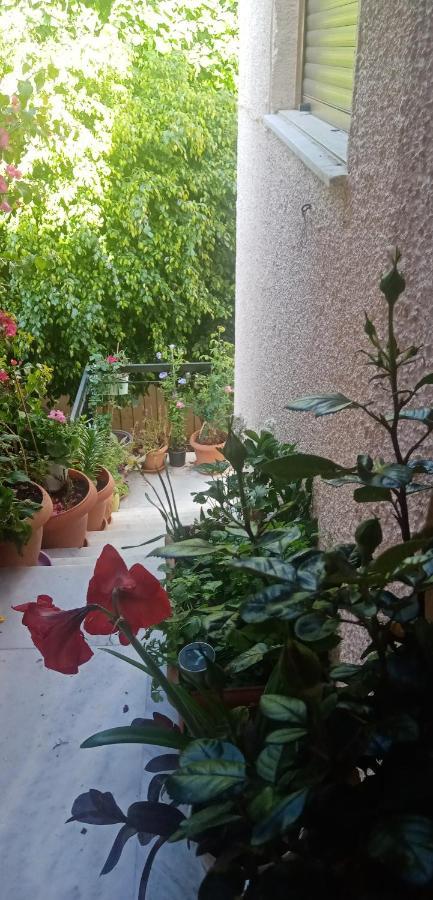 Aegina'S Flowers House Kültér fotó