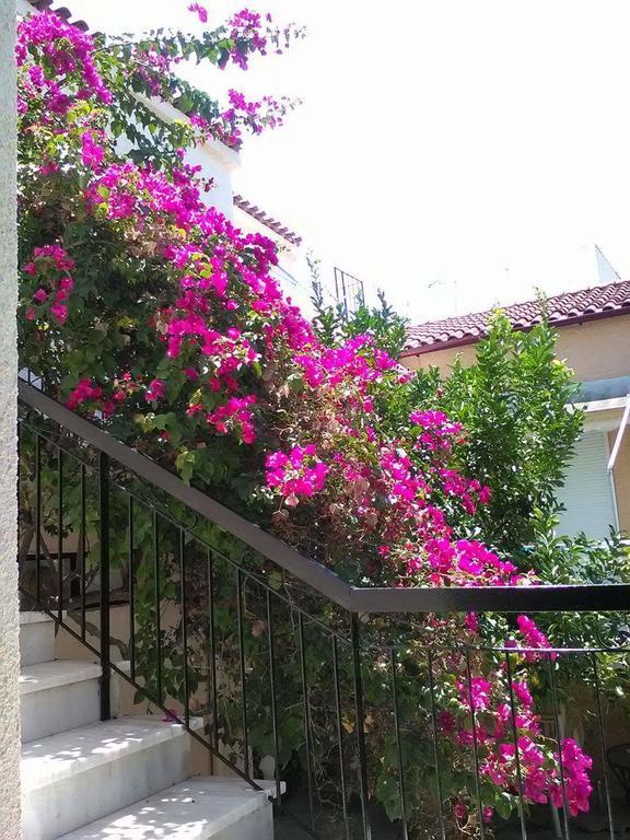 Aegina'S Flowers House Kültér fotó