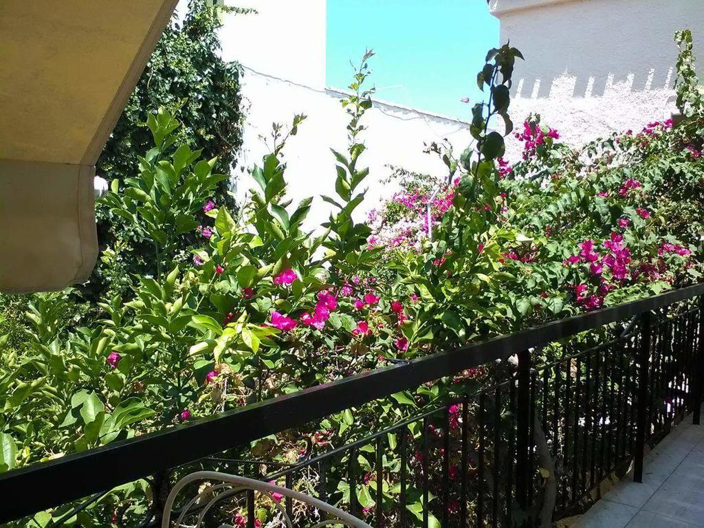 Aegina'S Flowers House Kültér fotó