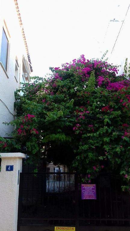 Aegina'S Flowers House Kültér fotó