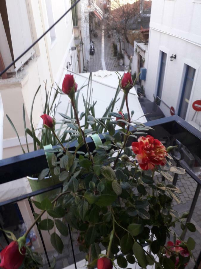 Aegina'S Flowers House Kültér fotó