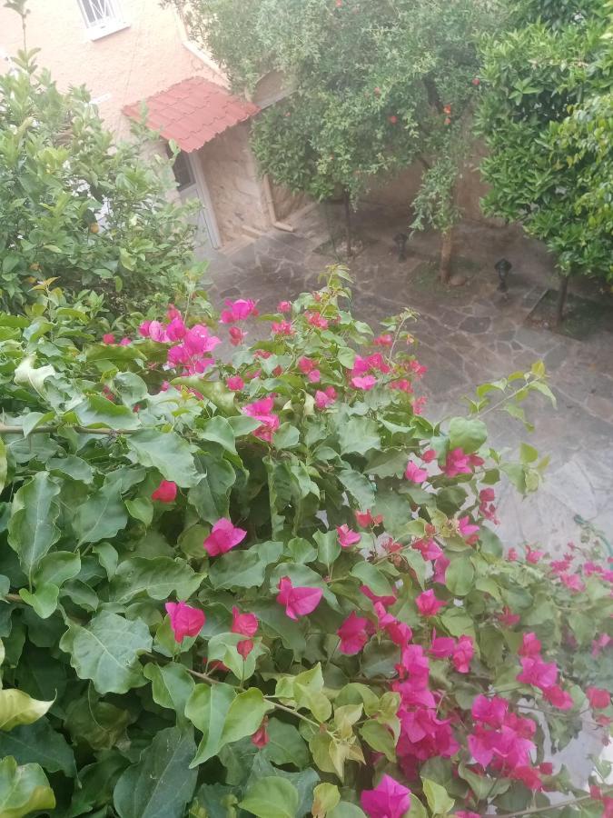 Aegina'S Flowers House Kültér fotó